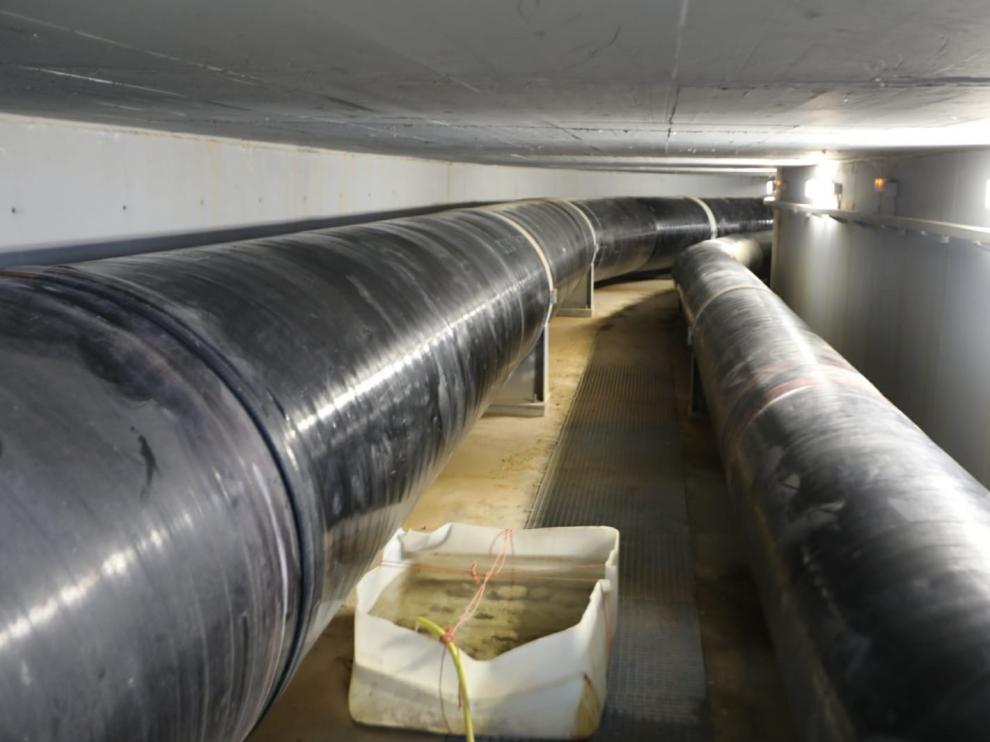 Grupos ecologistas creen que los nuevos proyectos de regadíos en Monegros alterarían los hábitats esteparios