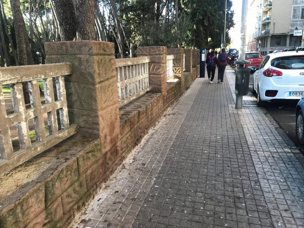 La lucha contra los estorninos afecta a otras aves del parque Miguel Servet de Huesca