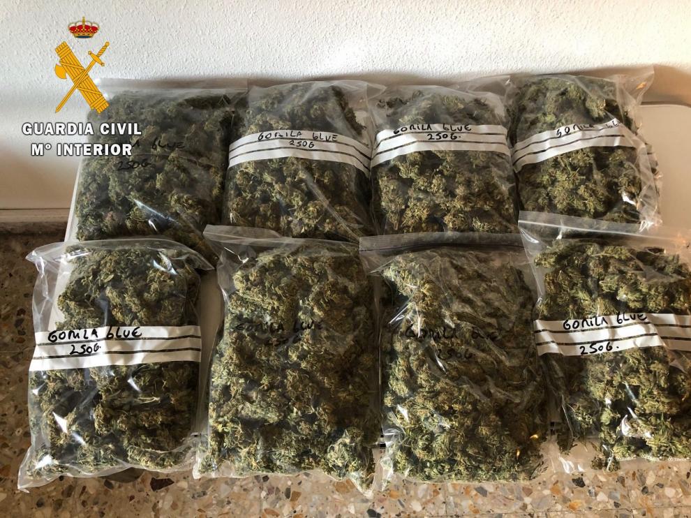La Guardia Civil detiene a un vecino de Monzón y otro de Fraga por cultivo y tráfico de marihuana
