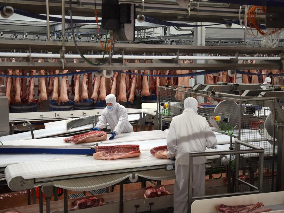 Litera Meat consolida una plantilla de 800 trabajadores repartidos en diferentes áreas