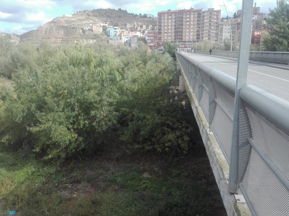 CHA considera que la CHE debería llevar a cabo actuaciones de limpieza del río Cinca a su paso por Fraga