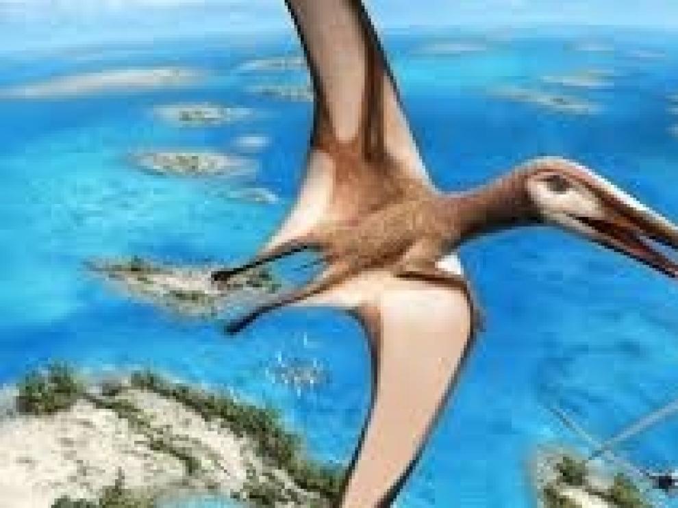 Un completo fósil revela una nueva clase de reptiles voladores