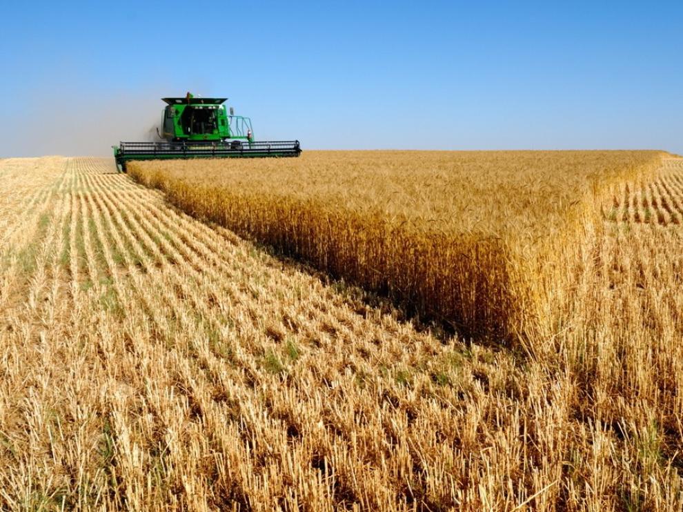 Agricultores y ganaderos perciben más de 7.400 millones de las ayudas PAC