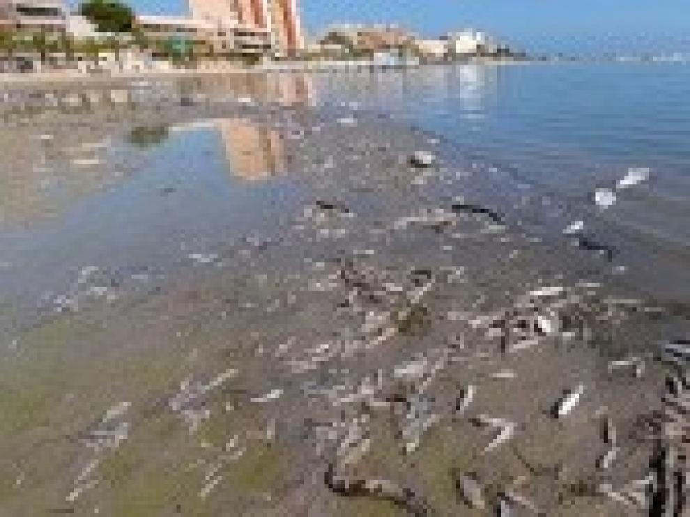 El Mediterráneo, en el centro de la diana de la crisis climática