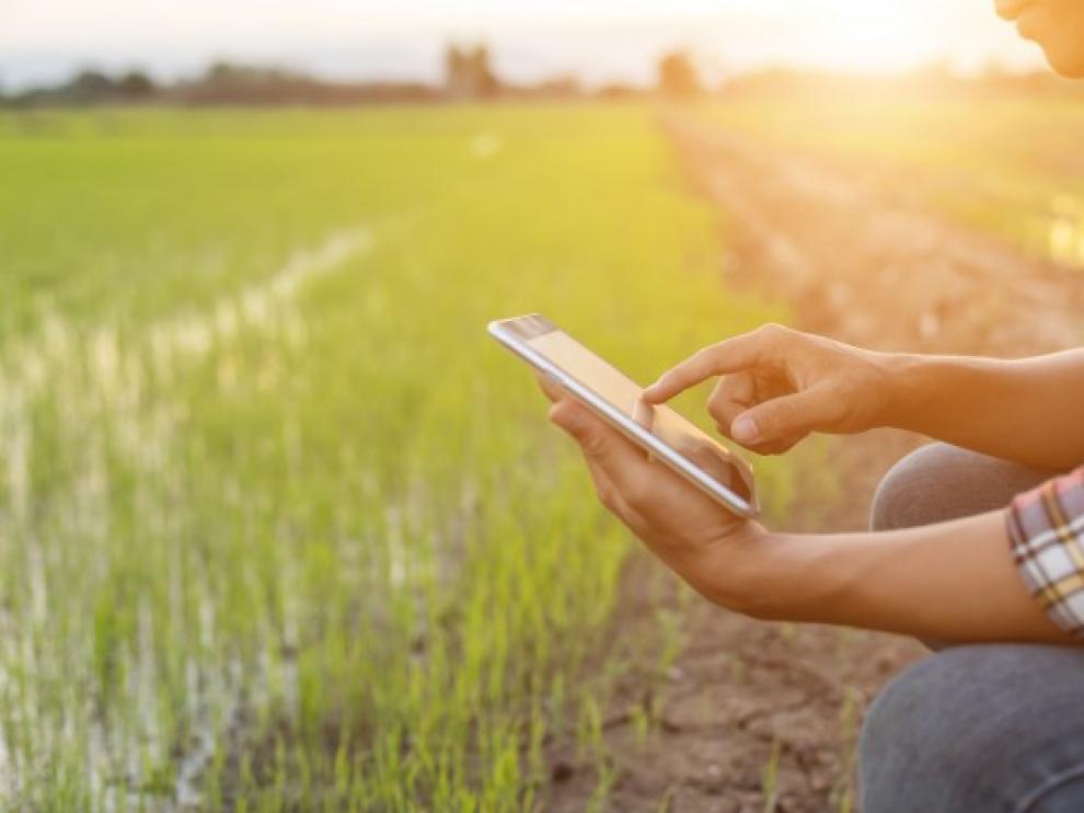 Nuevas tabletas digitales para inspecciones de campo