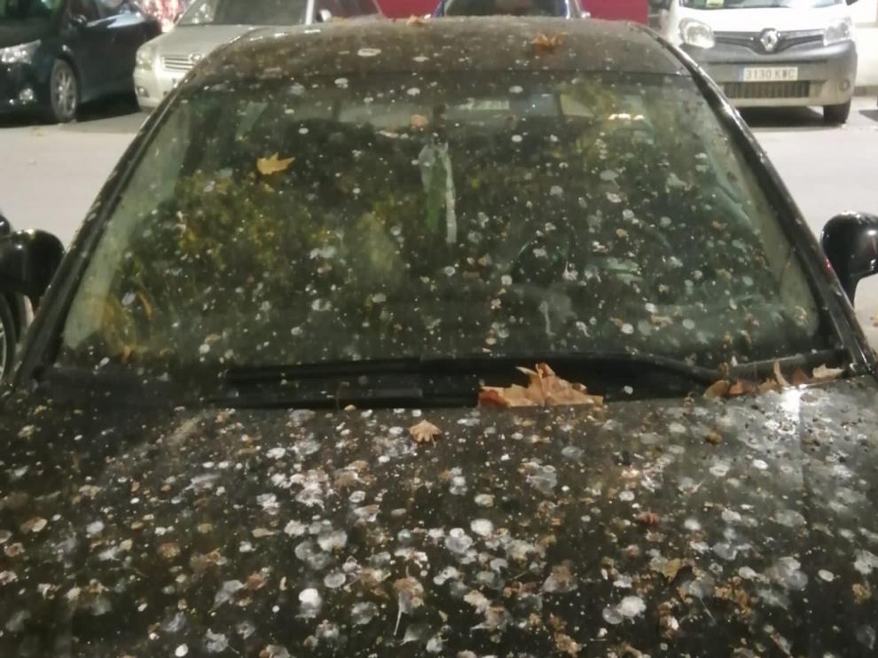 Los vecinos del barrio de San José de Huesca piden podas en la zona junto a Textil Bretón