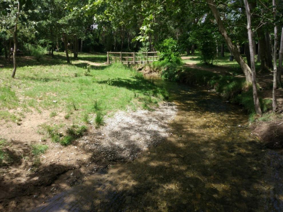 El Aula Verde Berta Cáceres descubre los secretos de la vegetación del Isuela en Huesca