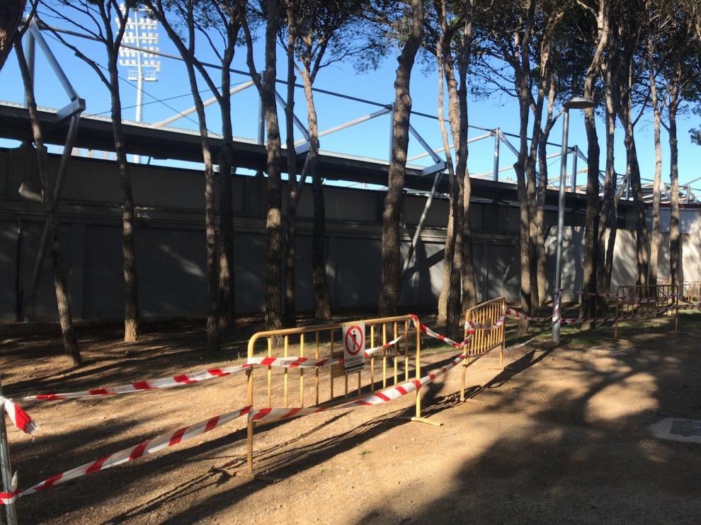 Vallas protegen los árboles donde anida el búho chico