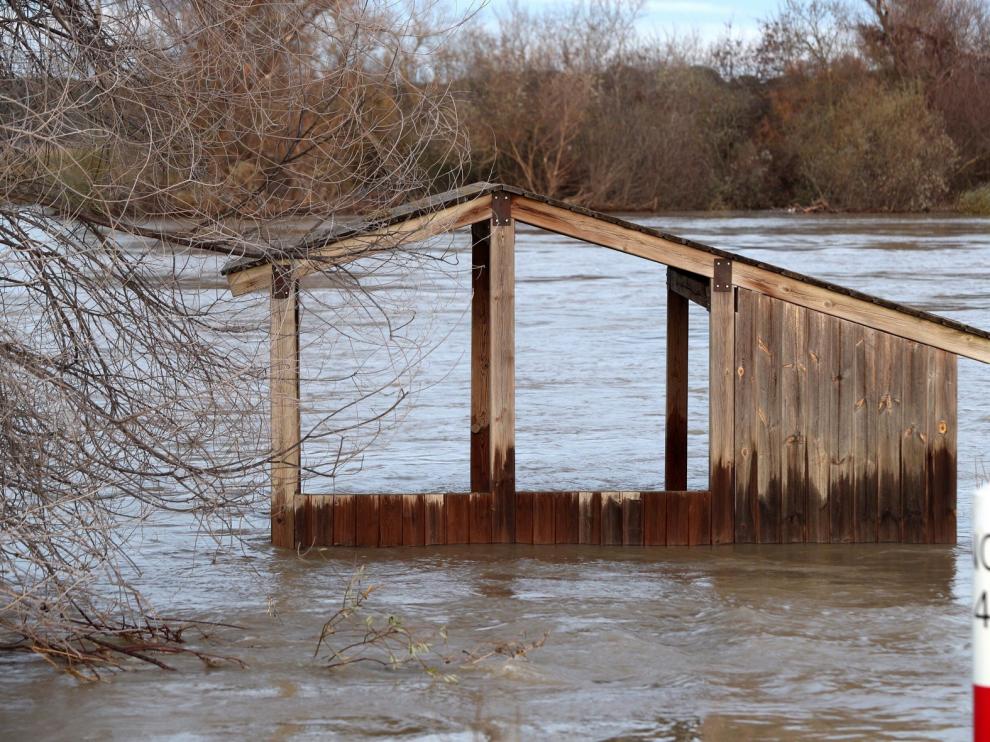 La crecida del Ebro afecta principalmente a cultivos y anega cerca de 10.000 hectáreas en Zaragoza