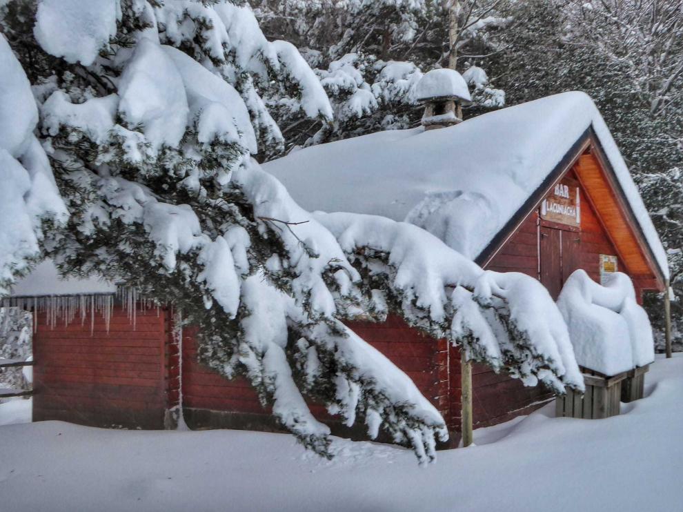 La belleza de Lacuniacha y de la nieve se funden con los animales
