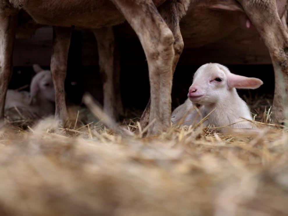 Alberto Lacasa gana el primer premio en el Concurso de Fotografía Feria de Otoño