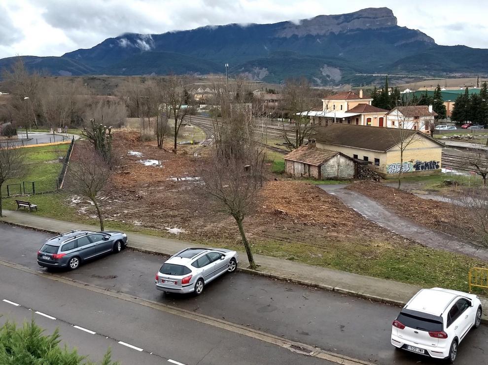Quejas vecinales por la tala de un espacio verde en Jaca