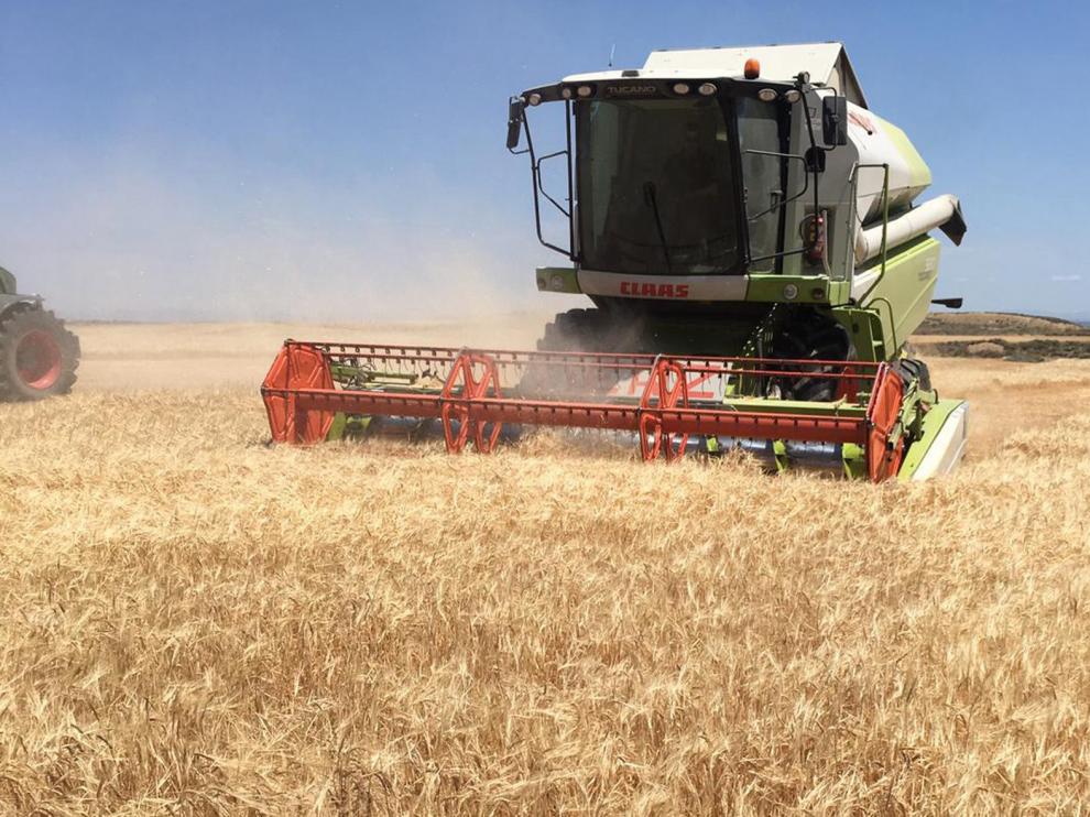 Los colectivos agrarios echan en falta ayudas para la modernización