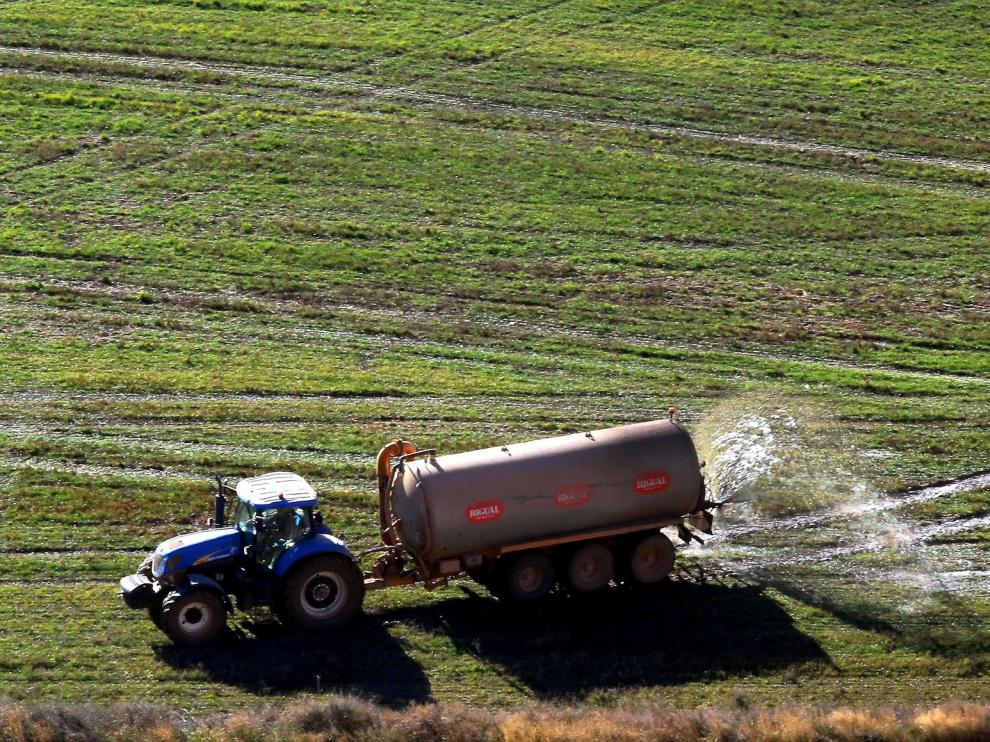 Asaja, Uaga y UPA se unen para alegar la ordenanza de purines