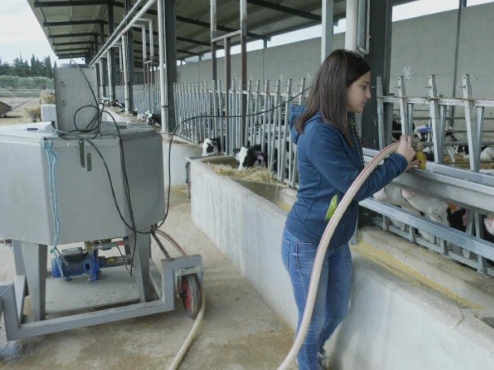 Proyectos innovadores y lucha contra la despoblación, en "Territorio vivo"