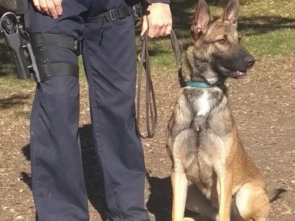 La perra abandonada Katrina ya forma parte de la Policía Nacional de Zaragoza