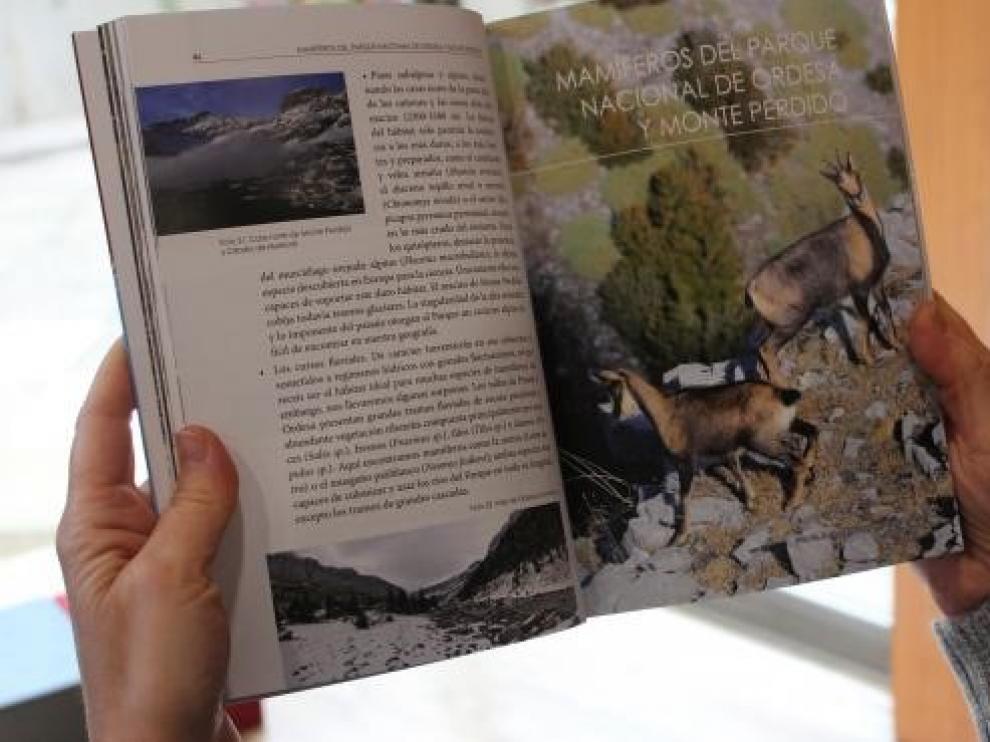 Una obra recoge los mamíferos de Ordesa