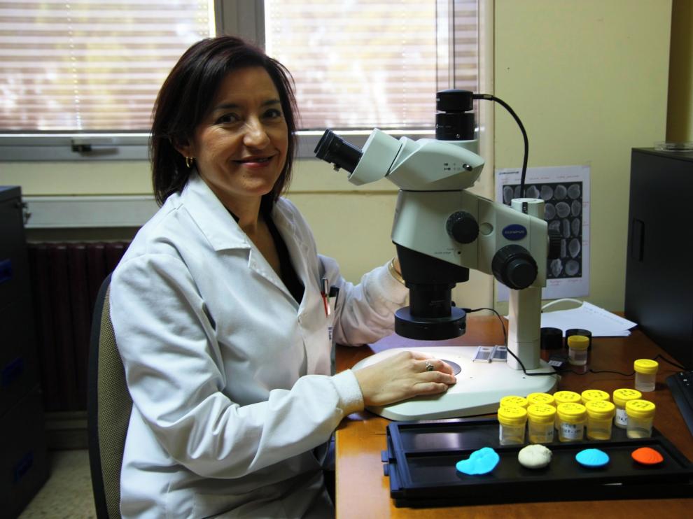 Alegret participa en un estudio de la extinción de los dinosaurios