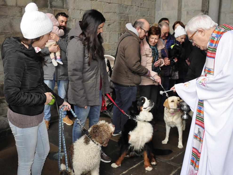 Los animales protagonizan la festividad de San Antón