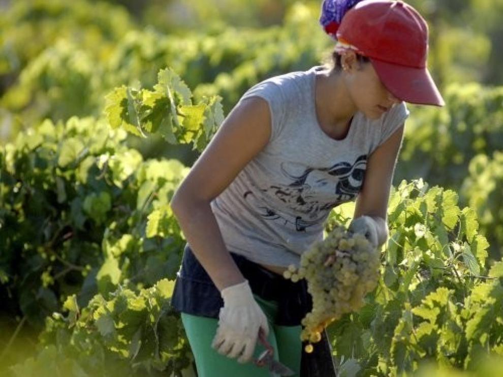 La mujer rural se presenta en Fitur como garantía del turismo sostenible