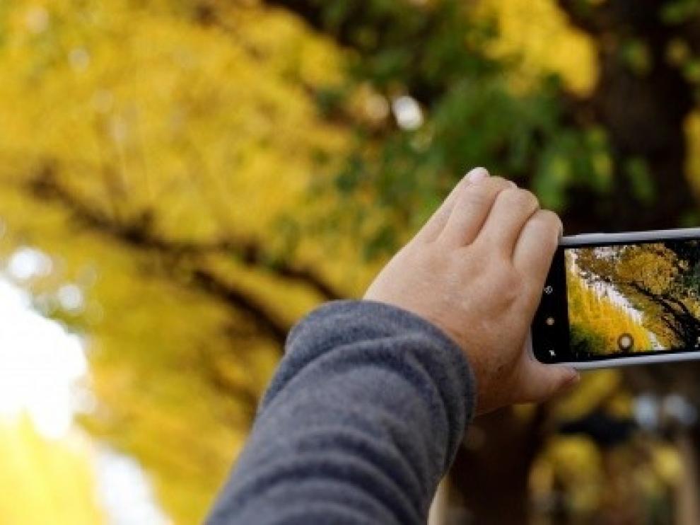 La educación ambiental afronta su Día Mundial en plena expansión digital