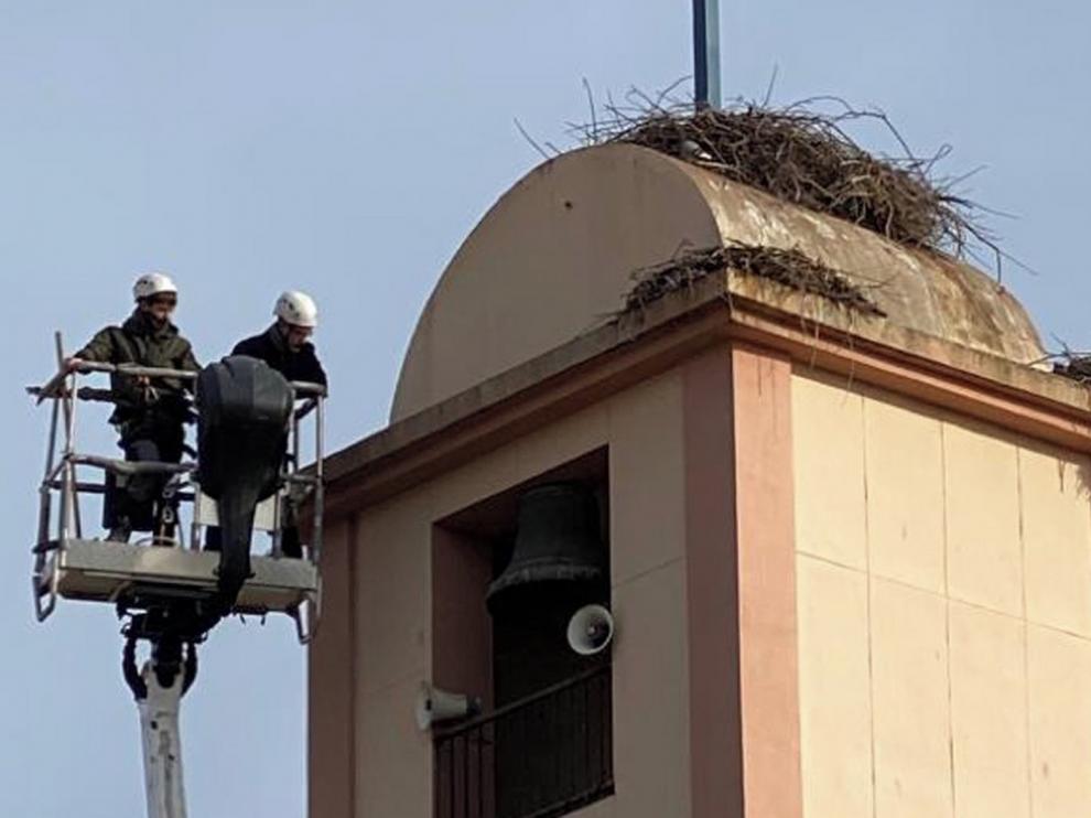 Retiran nidos de cigüeñas de una torre de Sariñena y un árbol de Cartuja de Monegros