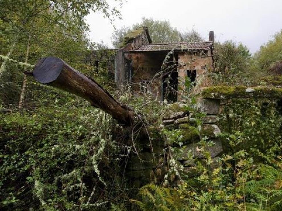 La situación demográfica en la Serranía Celtibérica es crítica