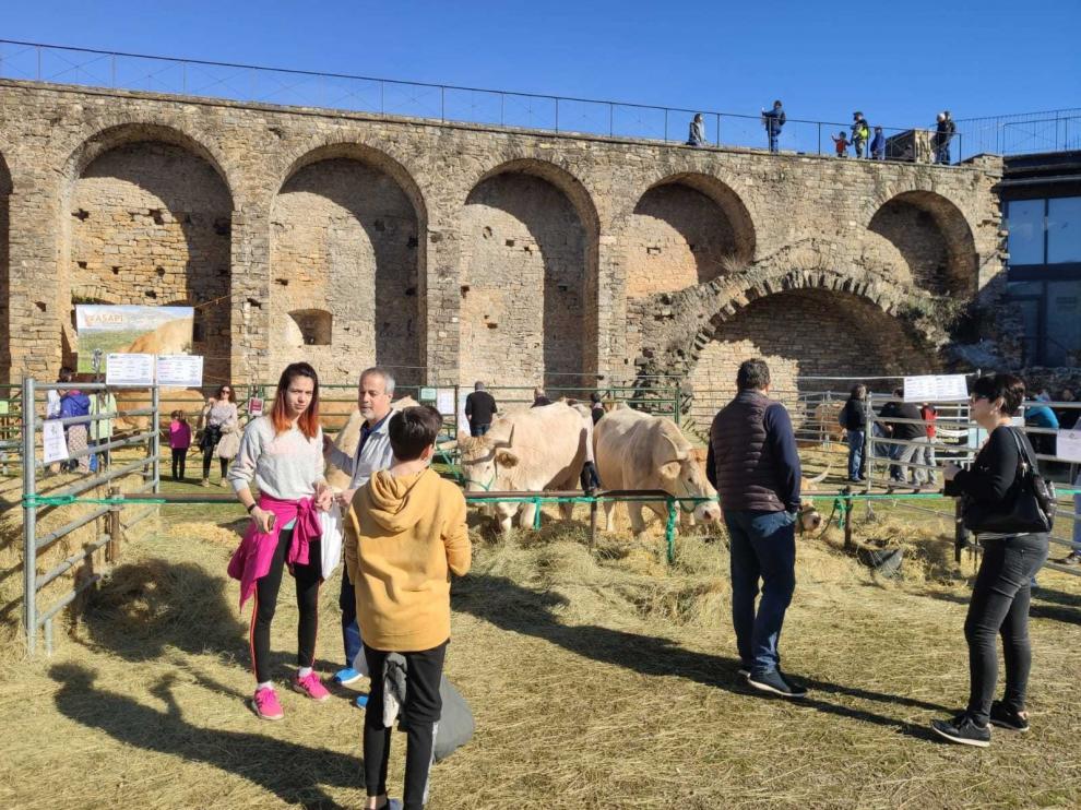 Aínsa despide una Ferieta de récord con 10.000 visitantes