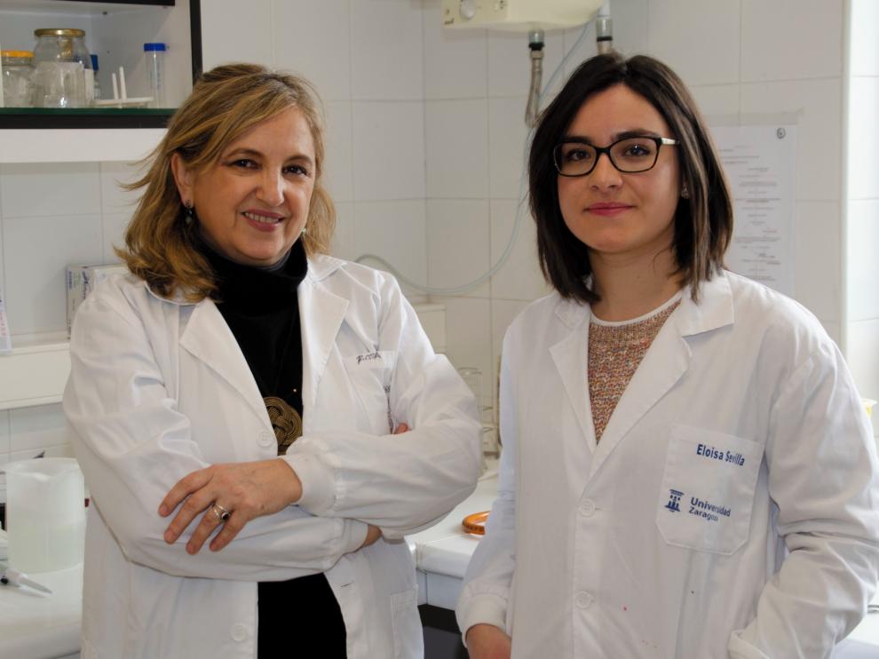 Nuevo paso para hacer frente a la bacteria Costridium difficile