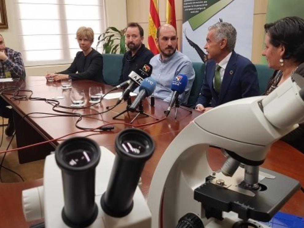 El parásito causante de la malaria aviar supone una amenaza para el quebrantahuesos