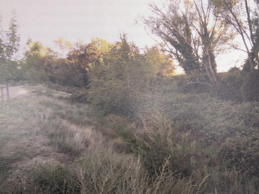 La CHE prevé acondicionar el Isuela a la salida de Huesca, desde Balsas de Chirín a Salas