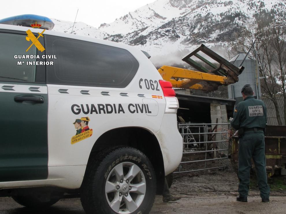 Investigan a un ganadero en el Alto Gállego por supuesto maltrato animal y 24 vacas son sacrificadas