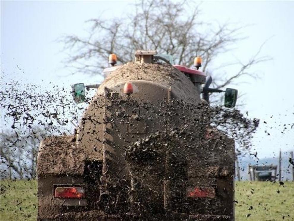 Ecologistas en Acción denuncia que la ordenanza de purines de Huesca se queda corta