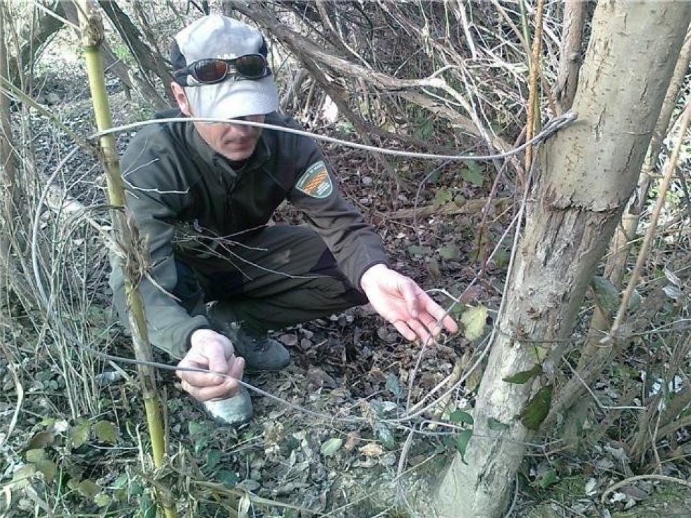 CCOO denuncia la falta de seguridad de los Agentes para la Protección de la Naturaleza en la extinción de incendios forestales