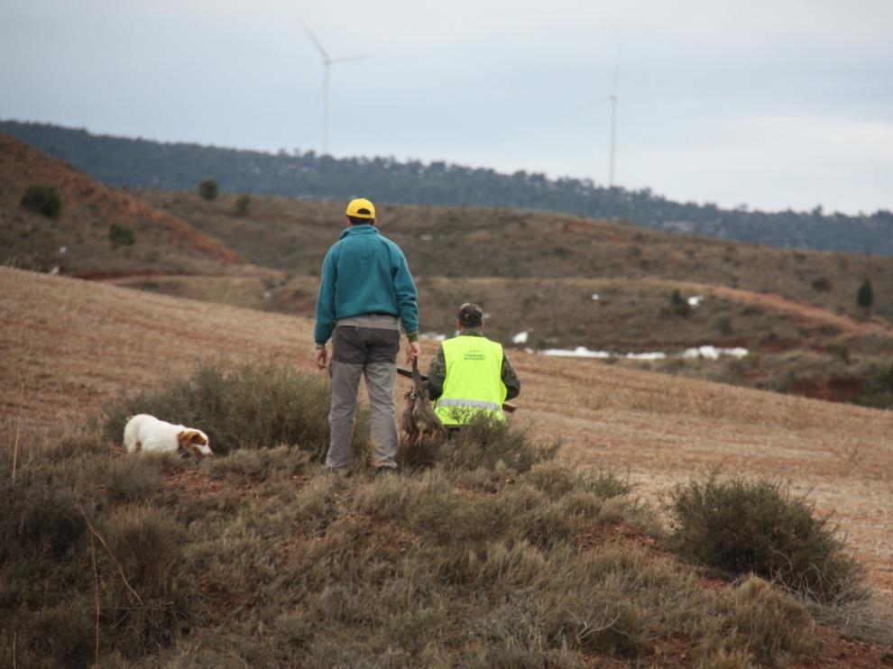El TSJA anula un listado de especies del plan de caza entre los años 2015 y 2016