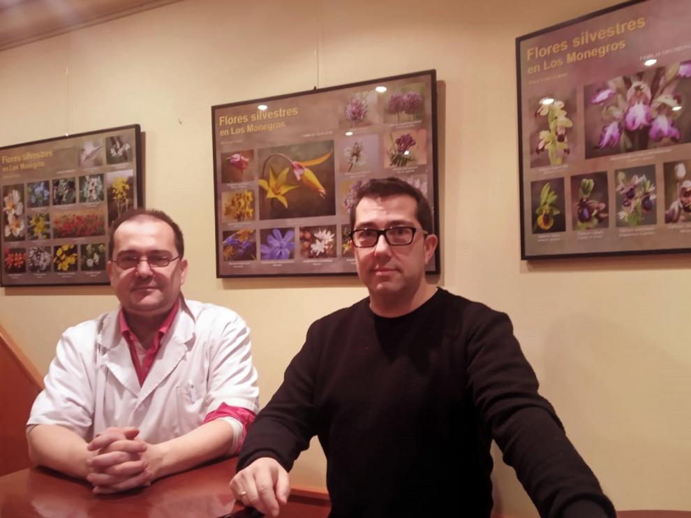 El Cafetín de la Pastelería Trallero se llena de flores silvestres