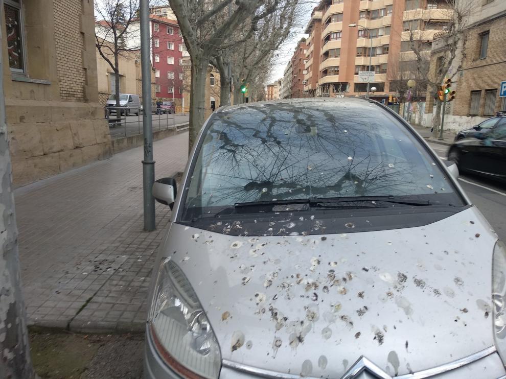 Falta de mantenimiento en la avenida Martínez Velasco de Huesca