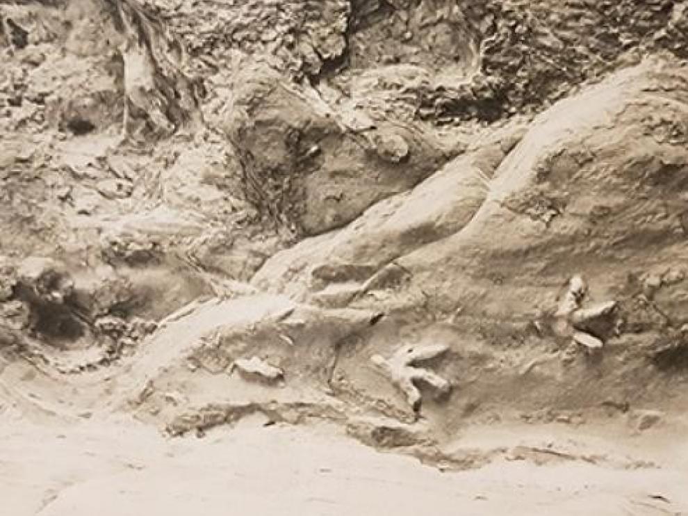 Solución al enigma de las huellas de dinosaurio en el techo de una cueva
