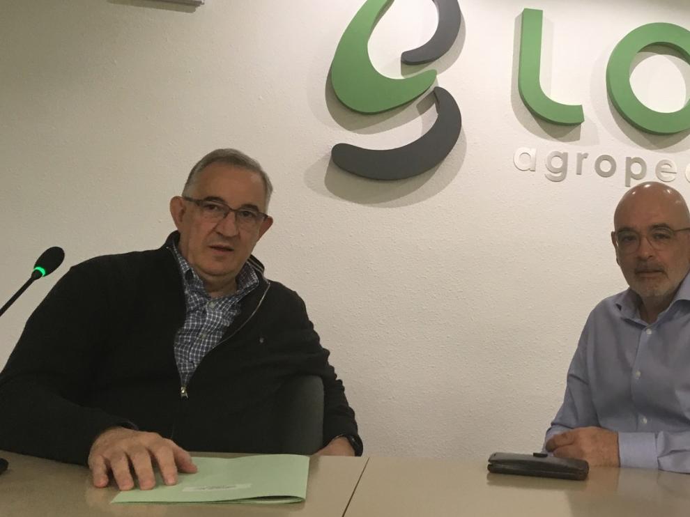 La provincia de Huesca cuenta con el 75 % de las cabezas de vacuno de Aragón