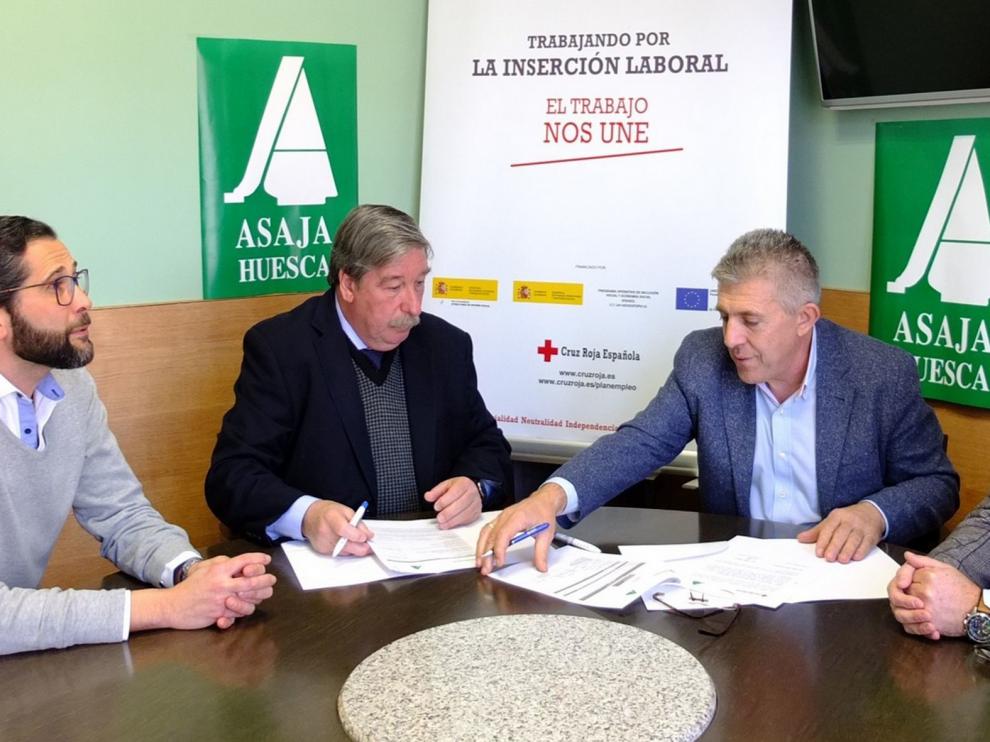 Cruz Roja y Asaja se unen para promover el empleo agrícola