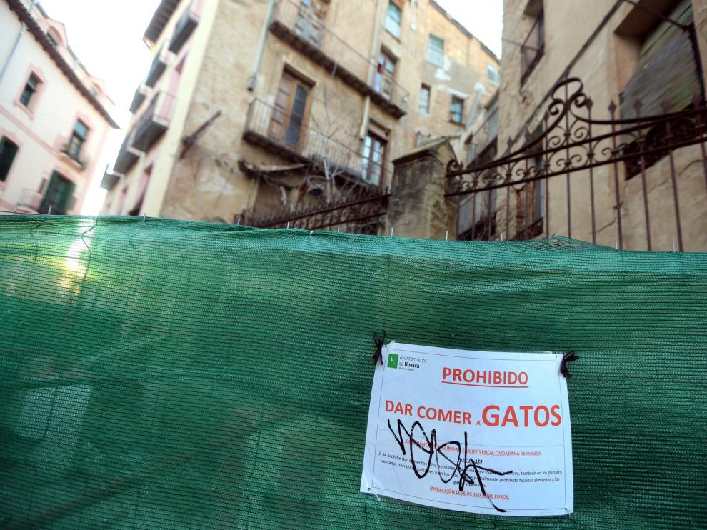 Prohibido dar comida a gatos
