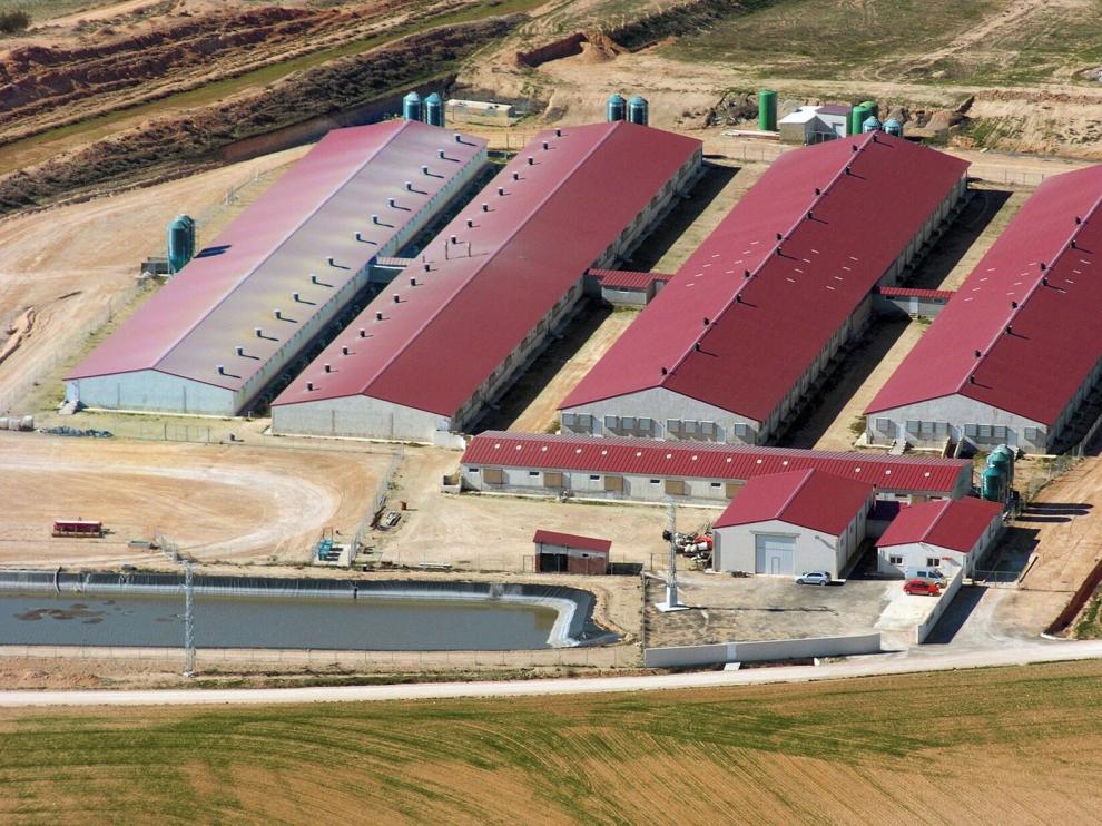 Exafan cumple tres décadas de experiencias en el equipamiento integral de granjas
