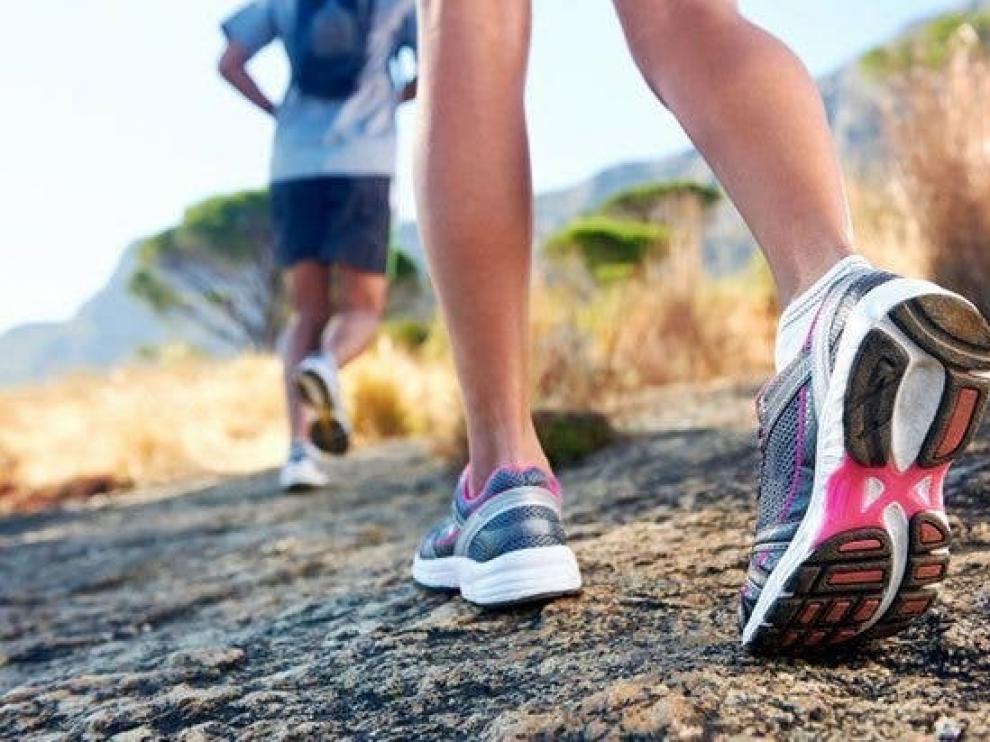 Una dieta con menos calorías alarga la vida