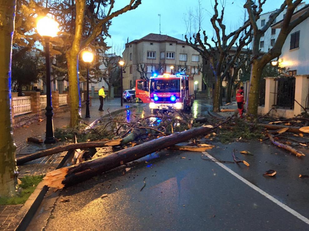 El fuerte viento levanta un tejado y tira árboles en Huesca y ocasiona desperfectos en Valsalada y Almudévar