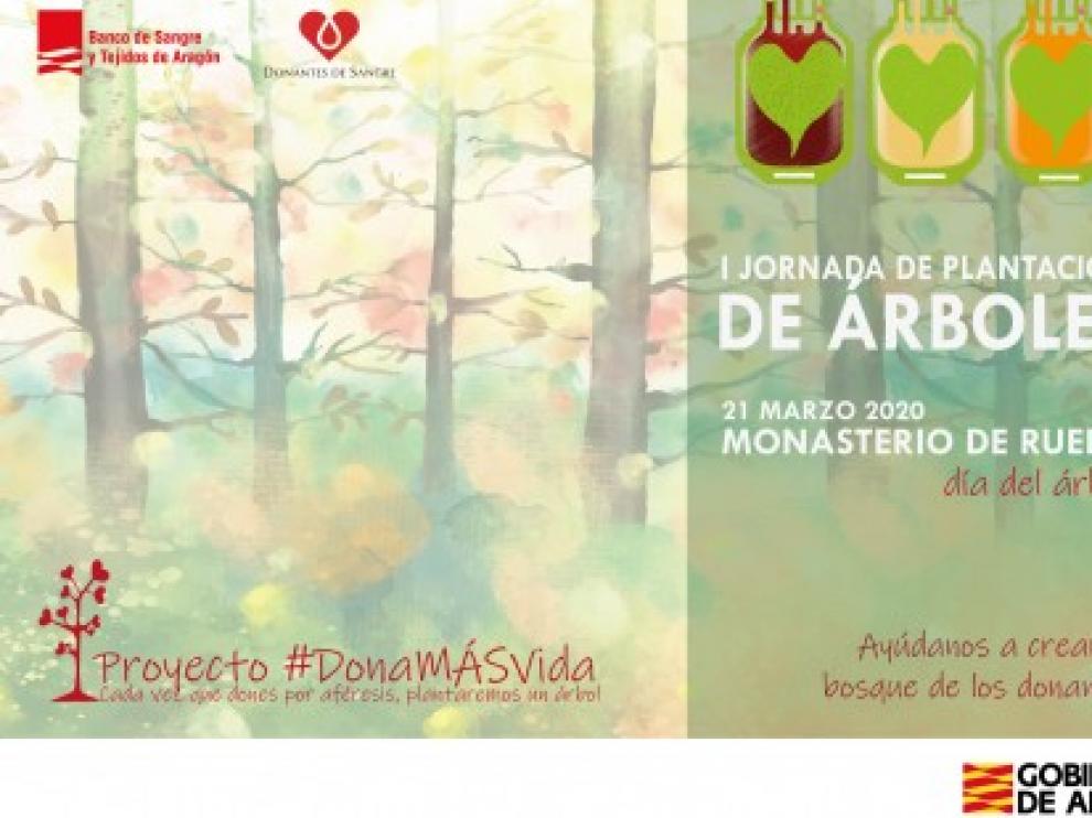 El Banco de Sangre y Tejidos de Aragón plantará un árbol por cada donación de aféresis