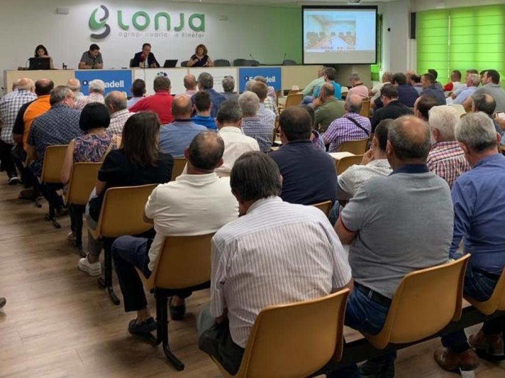 El vacuno se estabiliza y el ovino sube tras un complicado 2019