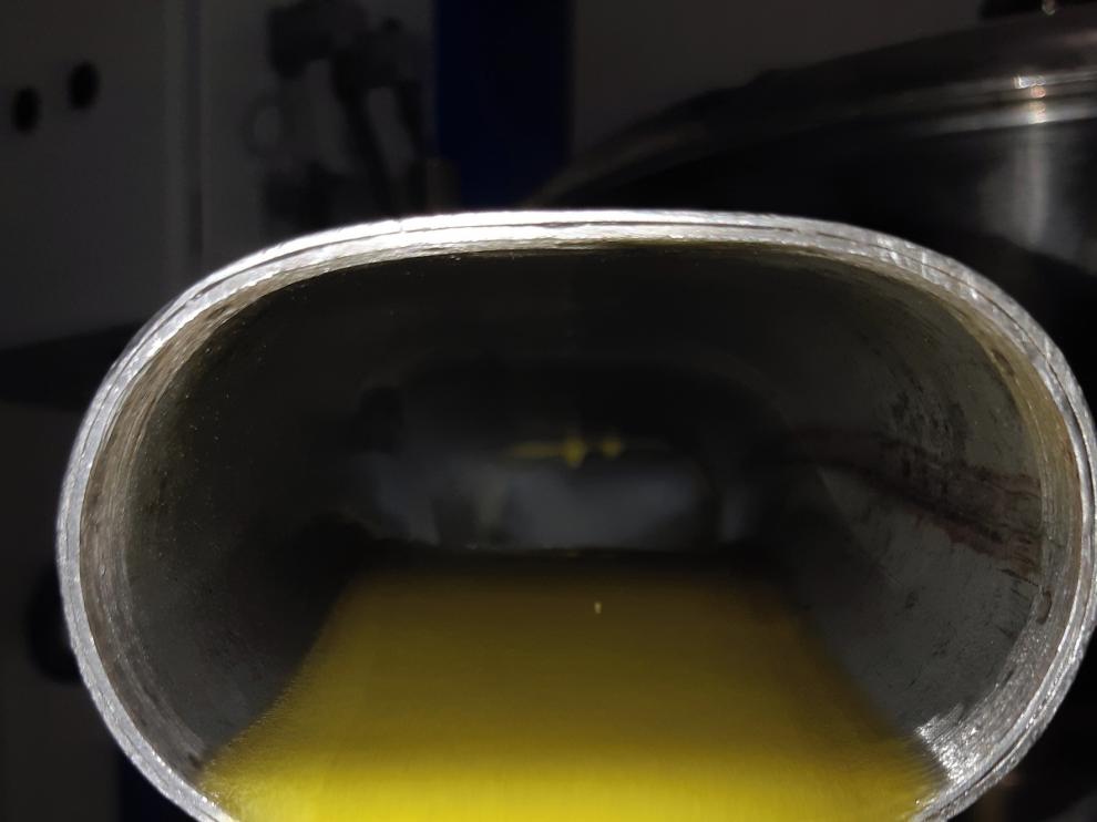Aceite de tradición centenaria en el corazón de la Hoya de Huesca