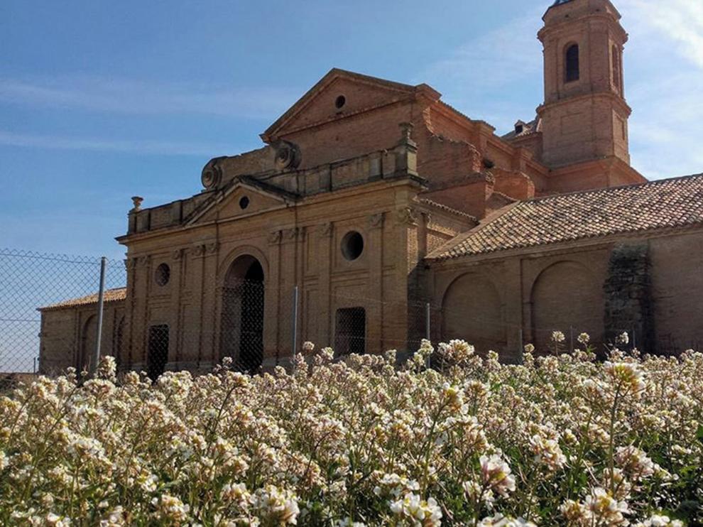 La Cartuja de las Fuentes y sus grandes revelaciones