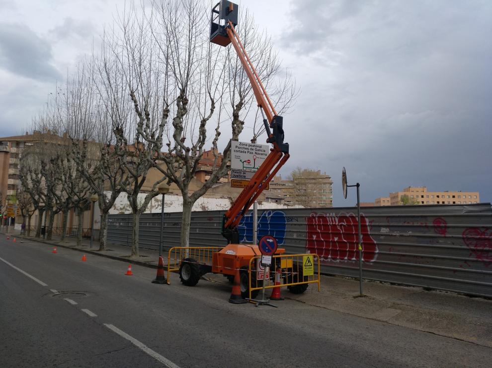 Una duda con la poda en Huesca
