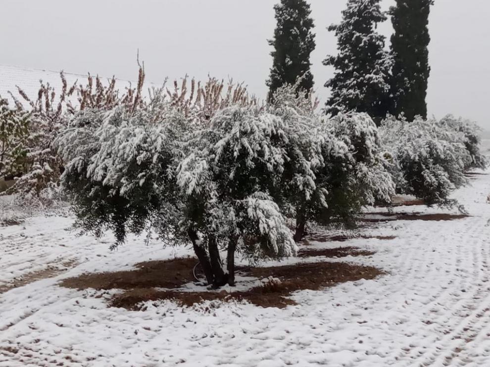 La nieve sorprende en cotas bajas del centro y sur de la provincia de Huesca